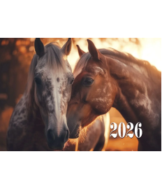 Calendar de perete CAII ROMANTICI, 2026, cu 3 sectii